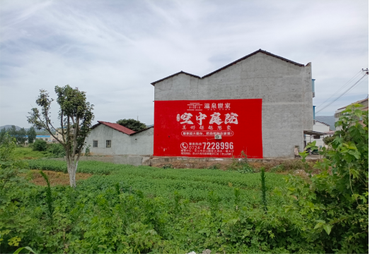 寻乌做墙体广告的意义